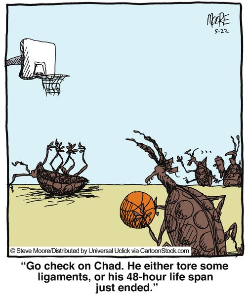 'Go check on Chad. He either tore some ligaments, or his 48-hour life span just ended.'