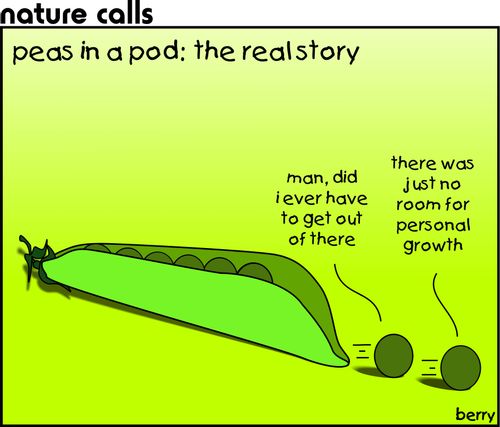 Peas in a Pod