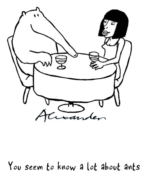 "You seem to know a lot about ants."