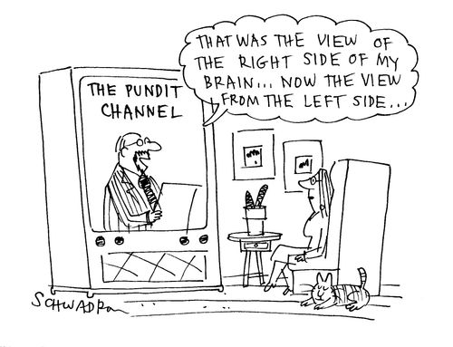 'That was the view of the right side of my brain...now the view from the left side...'