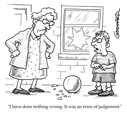 "I have done nothing wrong. It was an error of judgement."