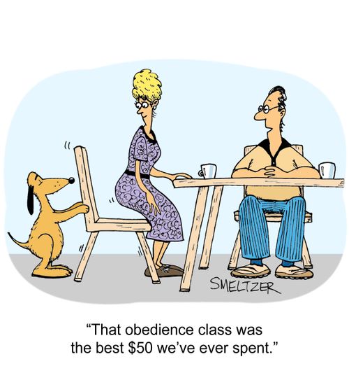 "That obedience class was the best $50 we've ever spent".