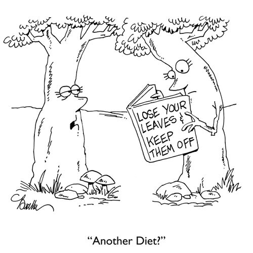 "Another diet?"