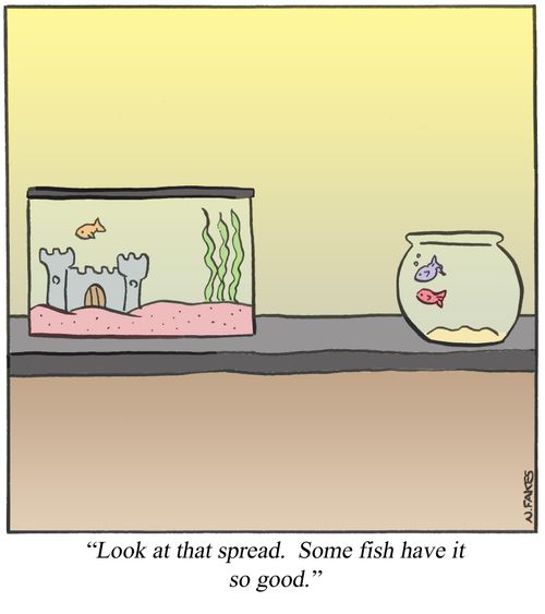 'Look at that spread. Some fish have it so good.'