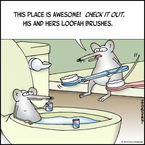 'This place is awesome! Check it out. His and hers loofah brushes.'