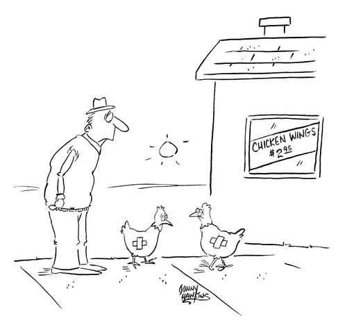 Wingless chickens outside of a shop selling chicken wings