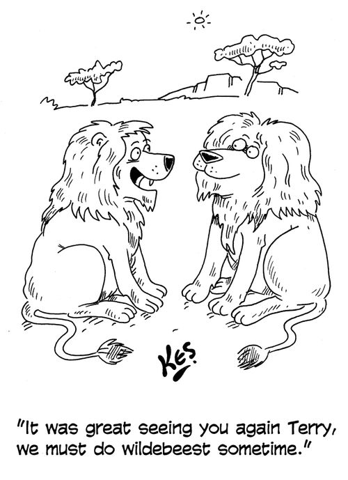 'It was great seeing you again Terry, we must do wildebeest sometime.'