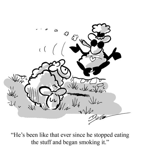 "He's been like that ever since he stopped eating the stuff and began smoking it."