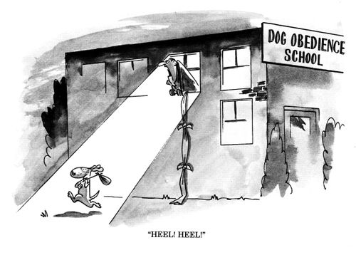 Dog obedience school; 'Heel!  Heel!'