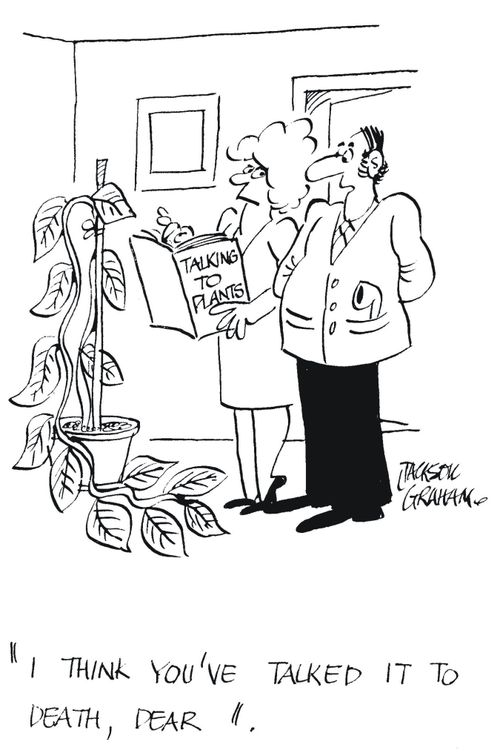 'I think you've talked it to death, dear.'