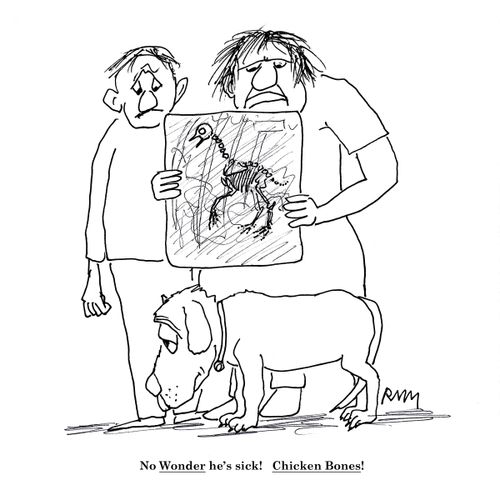 No Wonder he's sick!   Chicken Bones!