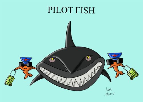 Pilot Fish