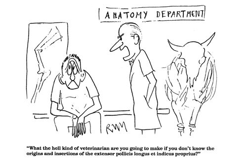 'What the hell kind of veterinarian are you going to make...'
