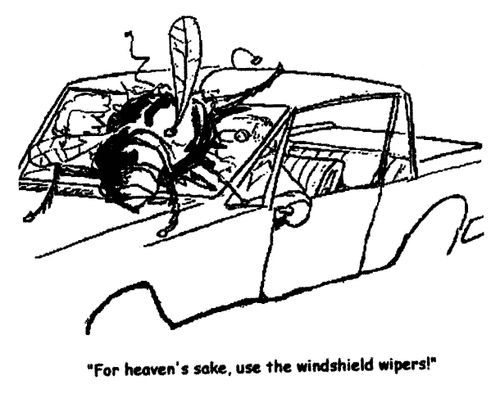 'For heaven's sake, use the windshield wipers!'