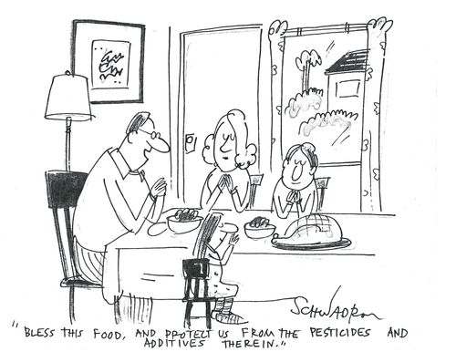 'Bless this food, and protect us from the pesticides and additives therein.'
