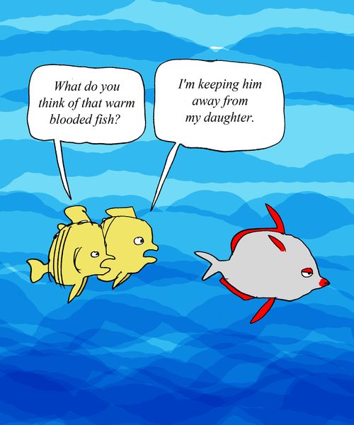"What do you think of that warm bloodied fish?"