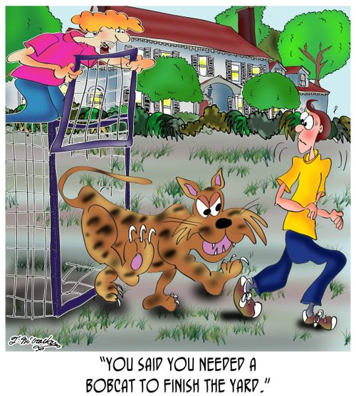'You said you needed a bobcat to finish the yard.'