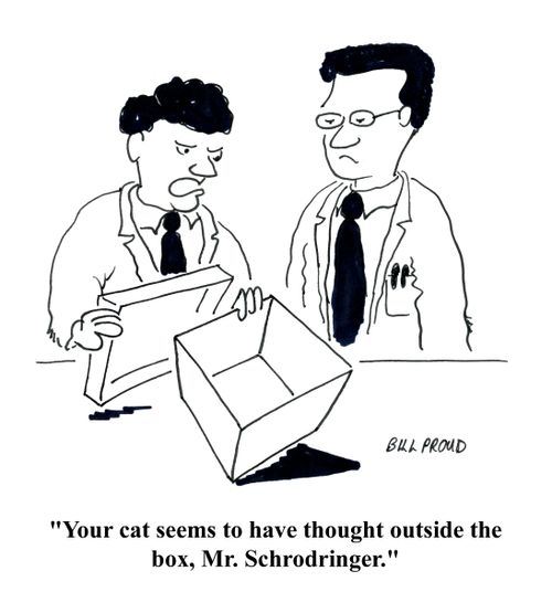 'Your cat seems to have thought outside the box, Mr. Schrodinger.'