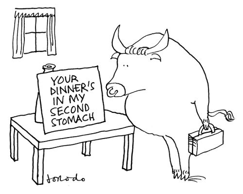 Bull arrives home to find his dinner's in his wife's second stomach