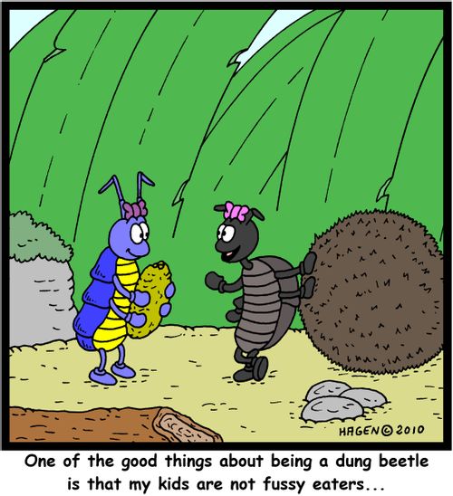 'One of the good things about being a dung beetle is that my kids are not fussy eaters...'