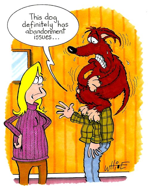 "This dog definitely had abandonment issues..."