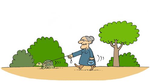 Granny takes a turtle for a walk.