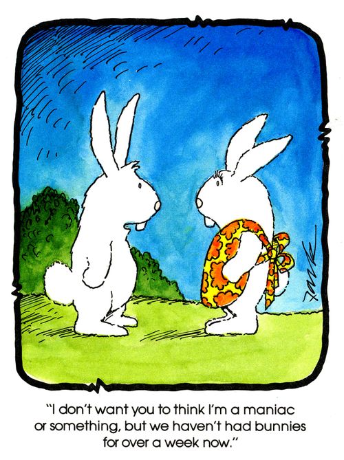 'I don't want you to think I'm a maniac or something, but we haven't had bunnies for over a week now.'