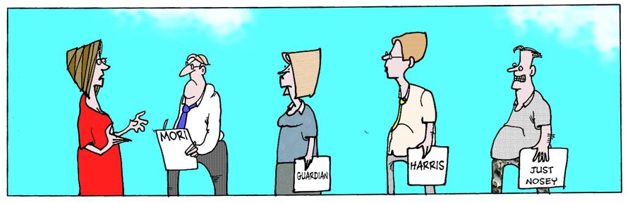 Pollsters...just nosy...