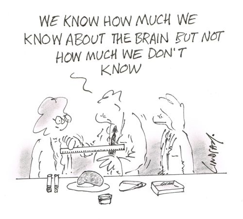 "We know how much we know about the brain but not how much we don't know."