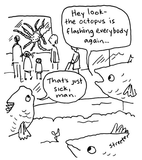 The Octopus is Flashing Everybody Again.