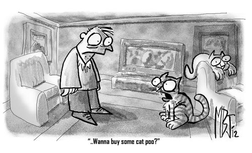 "Wanna buy some cat poo?"