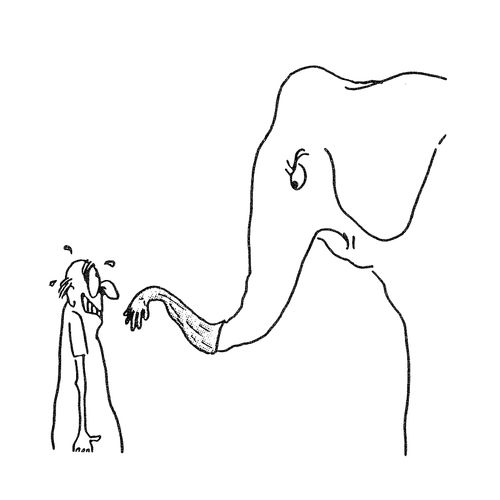 Elephant and the Vet's Glove.