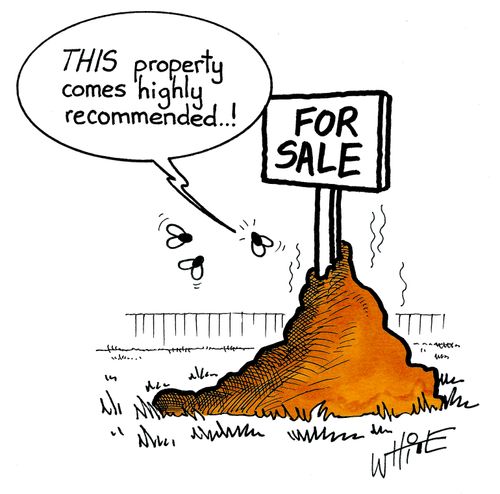 "This property comes highly recommended...!"