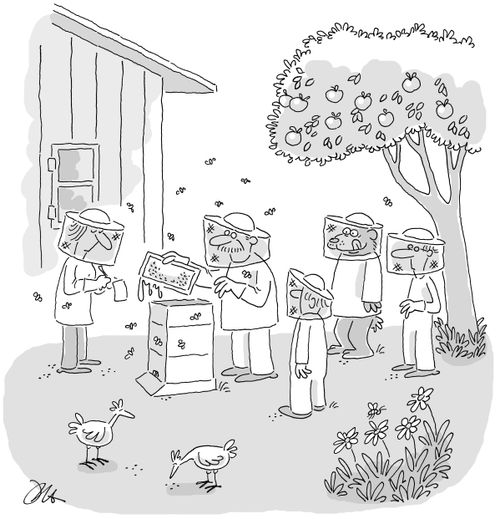 Beekeeping 101