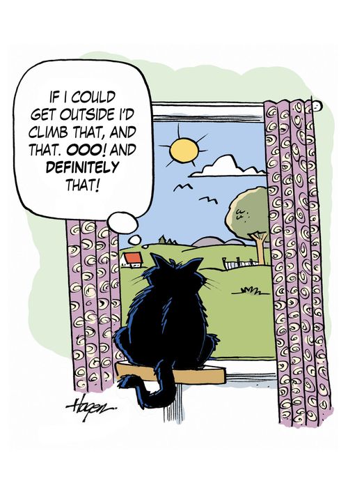 'If I could get outside I'd climb that, and that. Ooo! And definitely that!'