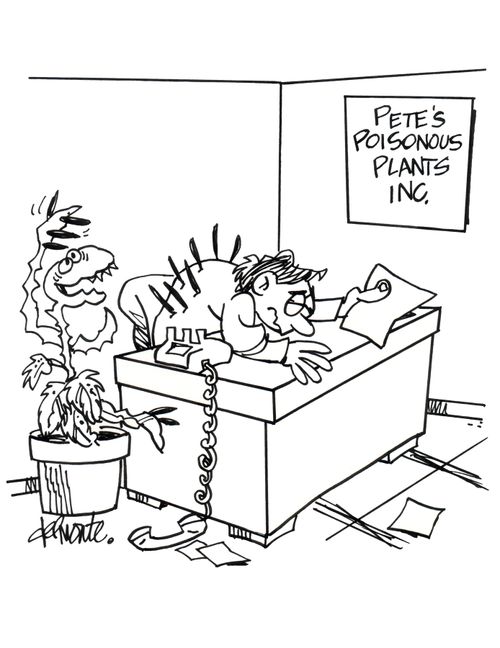 Plant kills owner of Pete's Poisonous Plants.