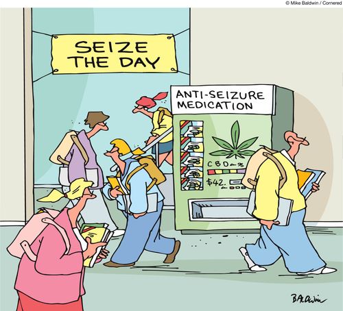 Cannabis: Anti-seizure Medication