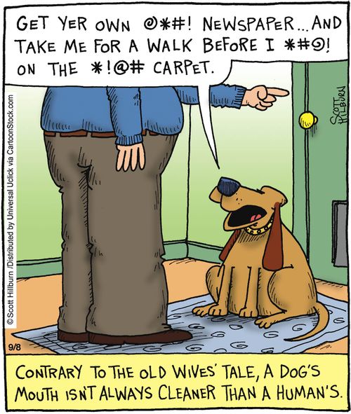 Contrary to the old wive's tale, a dog's mouth isn't always cleaner than a human's.