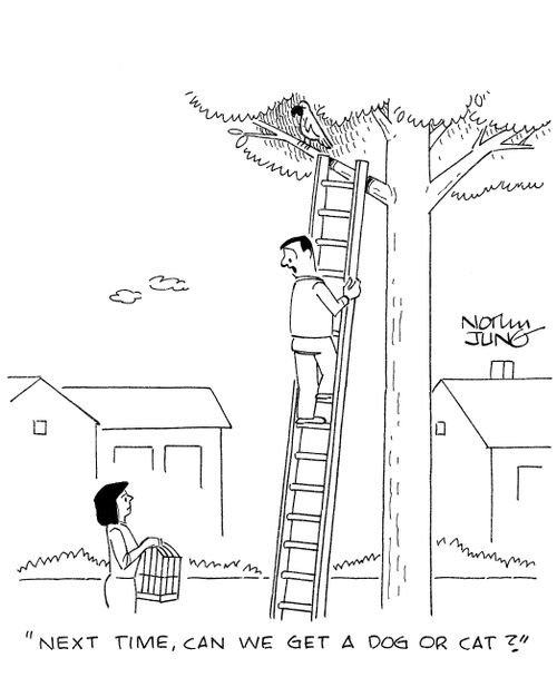 'Next time, can we get a dog or cat?'