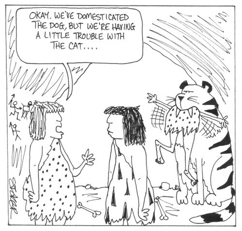 'Okay. We've domesticated the dog, but we're having a little trouble with the cat...'