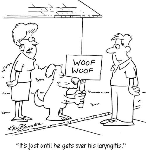 "It's just until he gets over his laryngitis."