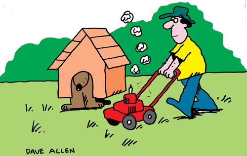 Man mowing grass, dog has lifted kennel out of the way