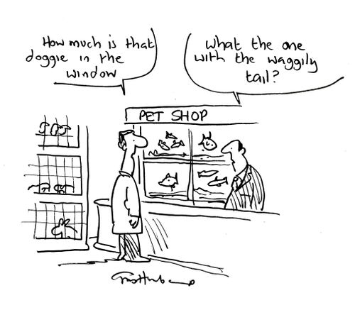 'How much is that doggie in the window?'