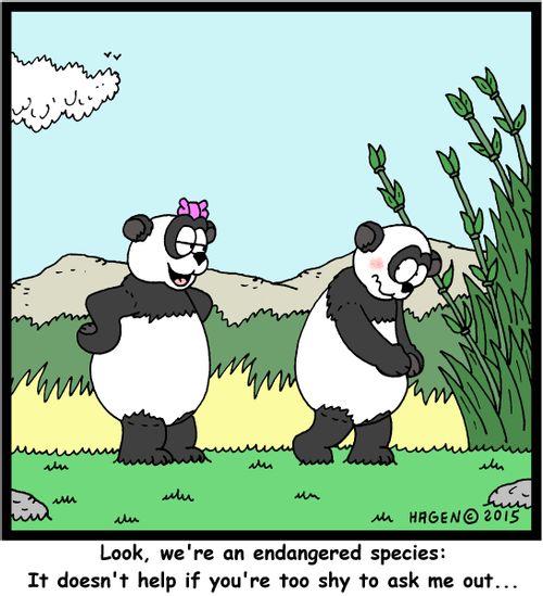 "Look, we're an endangered species: It doesn't help if you're too shy to ask me out..."
