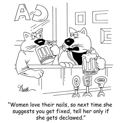 'Women love their nails, so next time she suggests you get fixed, tell her only if she gets declawed.'
