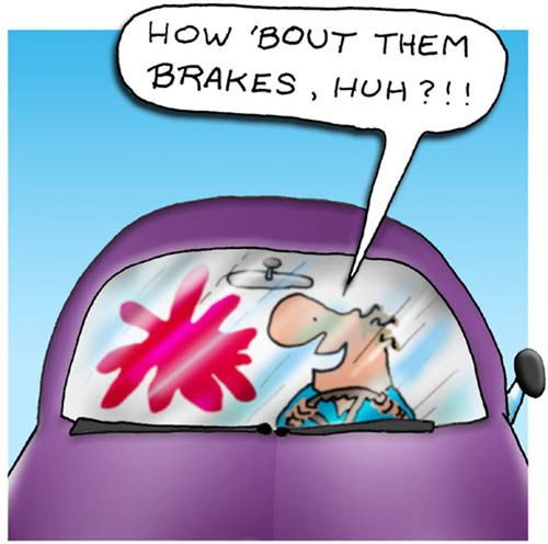 Them Brakes.