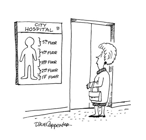Hospital elevators - Each floor is shown as a different part of the human anatomy, e.g. head, torso etc.