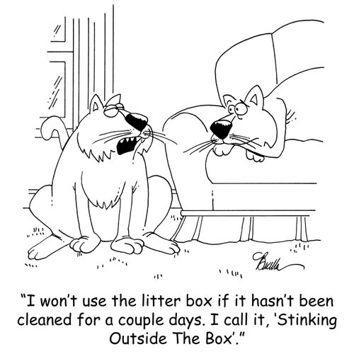 'I won't use the litter box if it hasn't been cleaned for a couple days. I call it, 'Stinking Outside The Box'.'