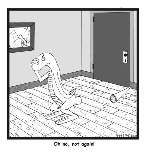 Oh no, not again!