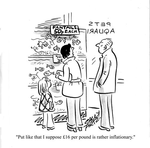 'Put like that I suppose ?16 per pound is rather inflationary.'